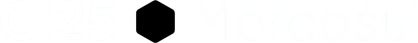 Conferência de Comércio Internacional e Serviços do Mercosul